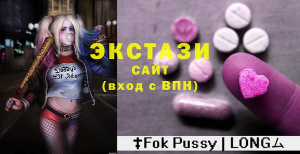 ECSTASY Богородицк